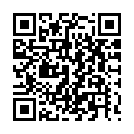 To view this 2023 Chevrolet Malibu Palmdale  from California IADA, please scan this QR code with your smartphone or tablet to view the mobile version of this page.