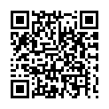 To view this 2022 Tesla Model 3 Palmdale from California IADA, please scan this QR code with your smartphone or tablet to view the mobile version of this page.