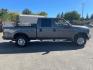 2004 Dark Shadow Grey Clearcoat Metallic Ford F-250 Super Duty XLT (1FTNW21L84E) with an Triton 5.4L V8 260hp 350ft. lbs. Other engine, 4-Speed Automatic transmission, located at 800 Riverside Ave, Roseville, CA, 95678, 916-773-4549 & Toll Free: 866-719-4393, 38.732265, -121.291039- Photo#5
