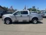 2011 Ingot Silver Metallic Ford F-150 XLT (1FTFW1EF4BK) with an 5.0L 5.0L Flex Fuel V8 360hp 380ft. lbs. Sequential Multiport Fuel Injection engine, 6-Speed Automatic transmission, located at 800 Riverside Ave, Roseville, CA, 95678, 916-773-4549 & Toll Free: 866-719-4393, 38.732265, -121.291039 - SUPERCREW 4X4 LOW MILES SERVICE RECORDS ON CLEAN CARFAX - Photo#4