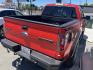 2011 Ford F-150 SVT Raptor SuperCab 5.5-ft. Bed 4WD (1FTEX1R6XBF) with an 6.2L V8 SOHC 16V engine, 4-Speed Automatic transmission, located at 744 E Miner Ave, Stockton, CA, 95202, (209) 944-5770, 37.956863, -121.282082 - PLUS TAXES AND FEES - Photo#14