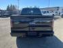 2013 Tuxedo Black Metallic Ford F-150 FX4 (1FTFW1EF3DK) with an 5.0L 5.0L Flex Fuel V8 360hp 380ft. lbs. Sequential Multiport Fuel Injection engine, 6-Speed Shiftable Automatic transmission, located at 800 Riverside Ave, Roseville, CA, 95678, 916-773-4549 & Toll Free: 866-719-4393, 38.732265, -121.291039 - 4X4 SUPERCREW FX4 5.0 V8 MOON ROOF CLEAN CARFAX - Photo#9