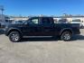 2013 Tuxedo Black Metallic Ford F-150 FX4 (1FTFW1EF3DK) with an 5.0L 5.0L Flex Fuel V8 360hp 380ft. lbs. Sequential Multiport Fuel Injection engine, 6-Speed Shiftable Automatic transmission, located at 800 Riverside Ave, Roseville, CA, 95678, 916-773-4549 & Toll Free: 866-719-4393, 38.732265, -121.291039 - 4X4 SUPERCREW FX4 5.0 V8 MOON ROOF CLEAN CARFAX - Photo#5