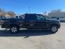 2013 Tuxedo Black Metallic Ford F-150 FX4 (1FTFW1EF3DK) with an 5.0L 5.0L Flex Fuel V8 360hp 380ft. lbs. Sequential Multiport Fuel Injection engine, 6-Speed Shiftable Automatic transmission, located at 800 Riverside Ave, Roseville, CA, 95678, 916-773-4549 & Toll Free: 866-719-4393, 38.732265, -121.291039 - 4X4 SUPERCREW FX4 5.0 V8 MOON ROOF CLEAN CARFAX - Photo#6