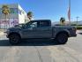 2018 GRAY Ford F-150 4WD (1FTFW1RGXJF) with an V6 EcoBoost TT 3.5L engine, Auto 10-Spd Spt Mode transmission, located at 412 Auto Vista Drive, Palmdale, 93551, (661) 945-0620, 34.592636, -118.136681 - Photo#3