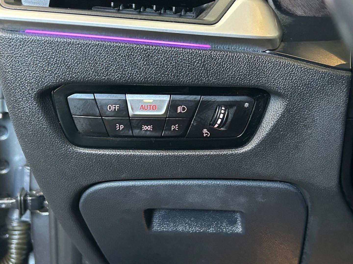 2020 GRAY BMW 3 Series (WBA5R1C04LF) with an 4-Cyl Turbo 2.0 Liter engine, Automatic 8-Spd Sport w/Sport transmission, located at 412 Auto Vista Drive, Palmdale, 93551, (661) 945-0620, 34.592636, -118.136681 - Photo#25