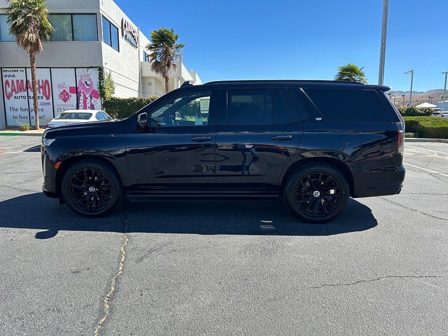 2021 Blue Cadillac Escalade (1GYS4FKL7MR) , Automatic 10-Spd w/Overdrive transmission, located at 412 Auto Vista Drive, Palmdale, 93551, (661) 945-0620, 34.592636, -118.136681- Photo#5
