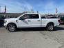 2021 Oxford White Ford F-150 XLT (1FTFW1E88MF) with an 3.5L EcoBoost 3.5L Twin Turbo V6 400hp 500ft. lbs. Direct Injection engine, 10-Speed Shiftable Automatic transmission, located at 800 Riverside Ave, Roseville, CA, 95678, 916-773-4549 & Toll Free: 866-719-4393, 38.732265, -121.291039 - SUPERCREW 4X4 ECOBOOST XLT ONE OWNER SERVICE RECORDS ON CLEAN CARFAX - Photo#4