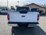 2021 Oxford White Ford F-150 XLT (1FTFW1E88MF) with an 3.5L EcoBoost 3.5L Twin Turbo V6 400hp 500ft. lbs. Direct Injection engine, 10-Speed Shiftable Automatic transmission, located at 800 Riverside Ave, Roseville, CA, 95678, 916-773-4549 & Toll Free: 866-719-4393, 38.732265, -121.291039 - SUPERCREW 4X4 ECOBOOST XLT ONE OWNER SERVICE RECORDS ON CLEAN CARFAX - Photo#8