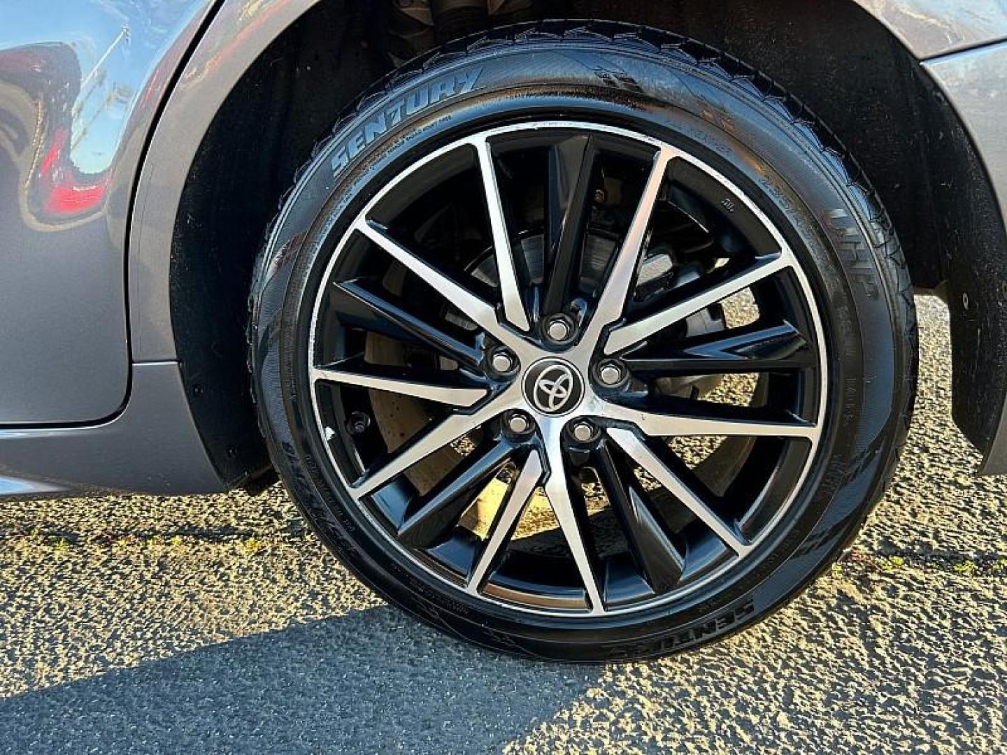 2023 GRAY Toyota Camry (4T1G11AK9PU) with an 4-Cyl 2.5 Liter engine, Automatic 8-Spd w/Sequential Shift transmission, located at 412 Auto Vista Drive, Palmdale, 93551, (661) 945-0620, 34.592636, -118.136681 - Photo#8