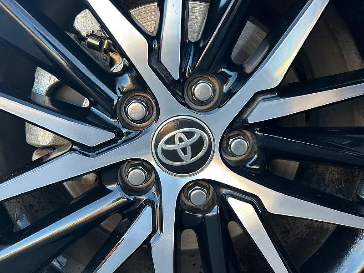 2023 GRAY Toyota Camry (4T1G11AK9PU) with an 4-Cyl 2.5 Liter engine, Automatic 8-Spd w/Sequential Shift transmission, located at 412 Auto Vista Drive, Palmdale, 93551, (661) 945-0620, 34.592636, -118.136681 - Photo#10