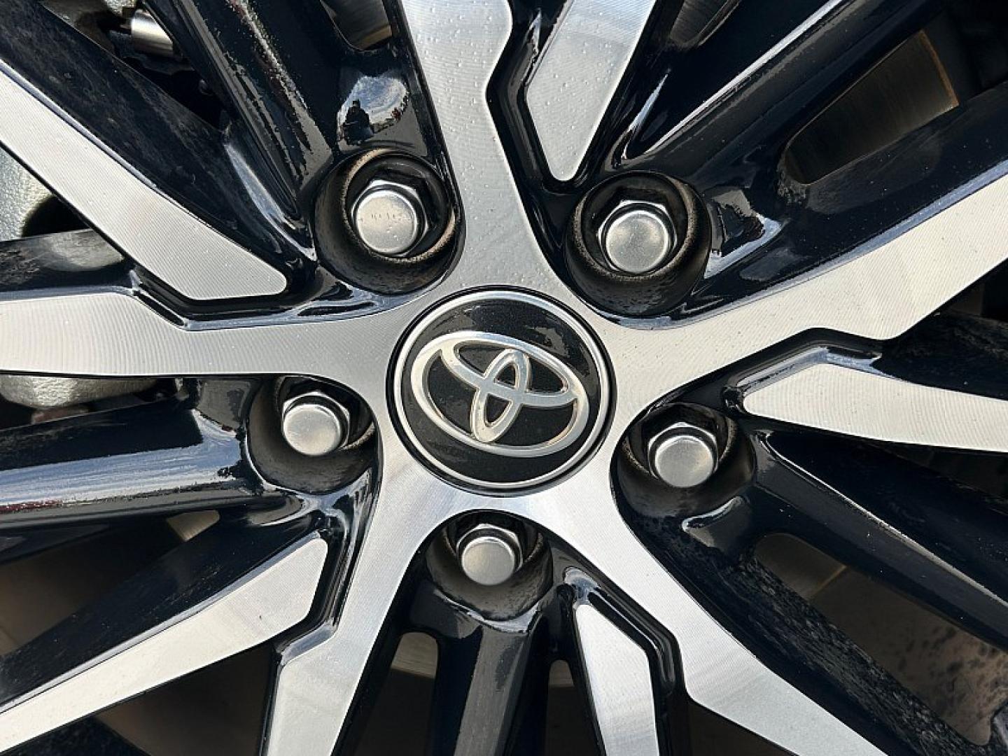 2023 GRAY Toyota Camry (4T1G11AK7PU) with an 4-Cyl 2.5 Liter engine, Automatic 8-Spd w/Sequential Shift transmission, located at 412 Auto Vista Drive, Palmdale, 93551, (661) 945-0620, 34.592636, -118.136681 - Photo#7