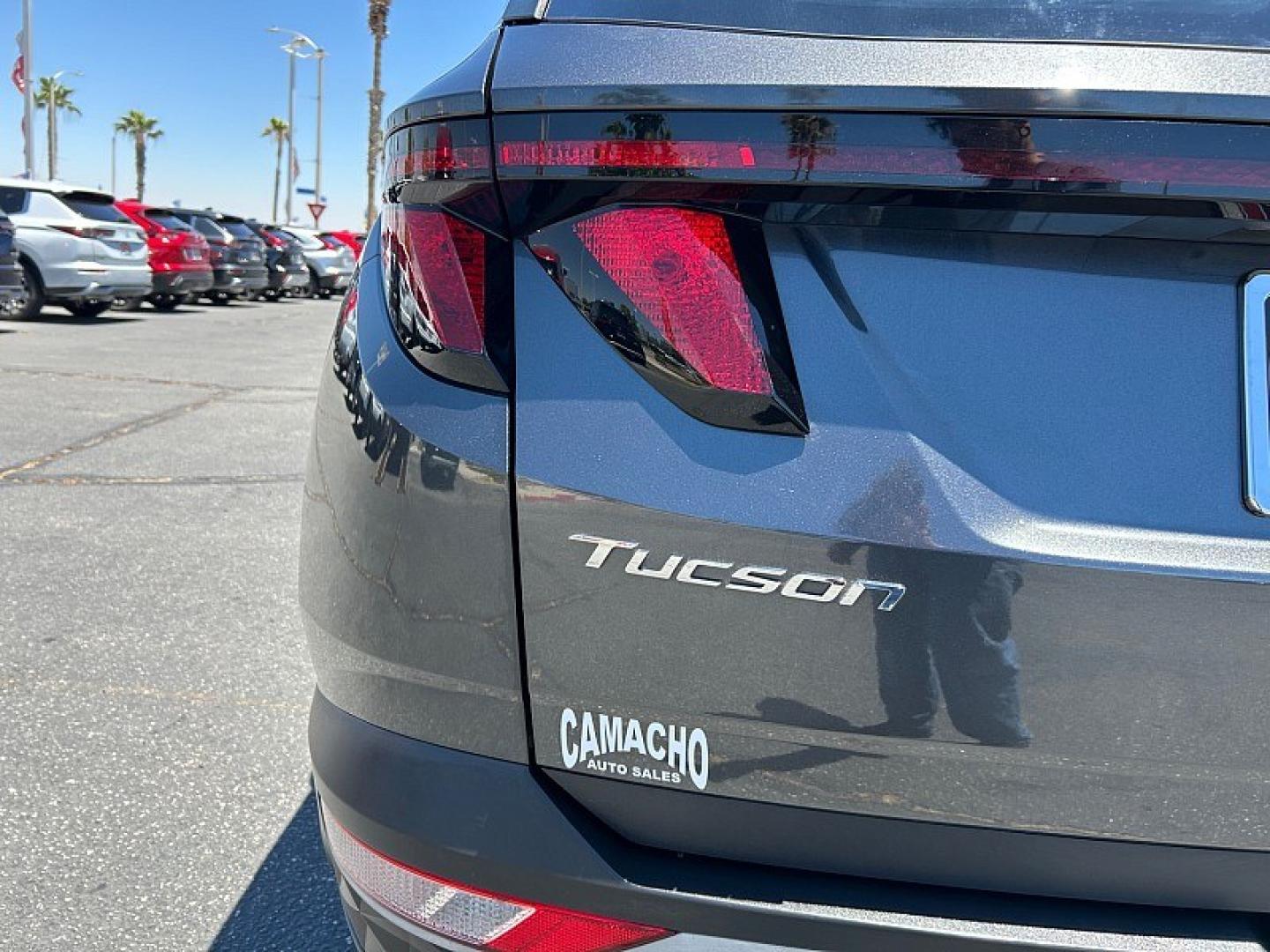 2024 Gray Hyundai Tucson (5NMJB3DEXRH) with an 4-Cyl 2.5 Liter engine, Automatic 8-Spd transmission, located at 412 Auto Vista Drive, Palmdale, 93551, (661) 945-0620, 34.592636, -118.136681 - Photo#15
