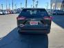 2025 BLACK Toyota RAV4 (2T3F1RFV1SC) with an 4-Cyl 2.5 Liter engine, Automatic 8-Spd w/Direct transmission, located at 412 Auto Vista Drive, Palmdale, 93551, (661) 945-0620, 34.592636, -118.136681- Photo#5